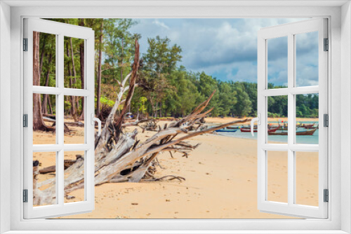 Fototapeta Naklejka Na Ścianę Okno 3D - treees on sea shore