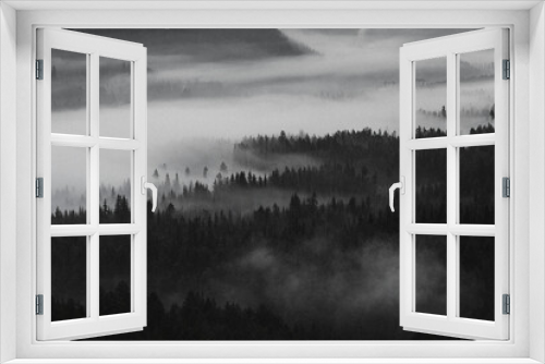Fototapeta Naklejka Na Ścianę Okno 3D - View of the misty woods in Norway