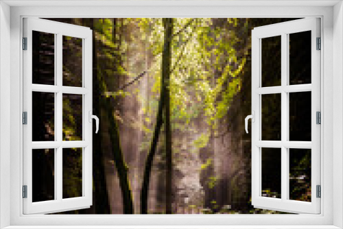 Fototapeta Naklejka Na Ścianę Okno 3D - Uttewalder Grund