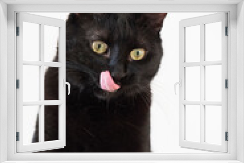 Fototapeta Naklejka Na Ścianę Okno 3D - Sich leckende schwarze Hauskatze