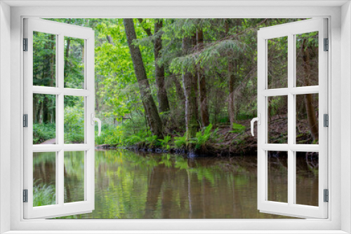 Fototapeta Naklejka Na Ścianę Okno 3D - European natural forest with flowinf water. Brook and tree and green plant in middle europe.  Ecology and nature conservation concept.