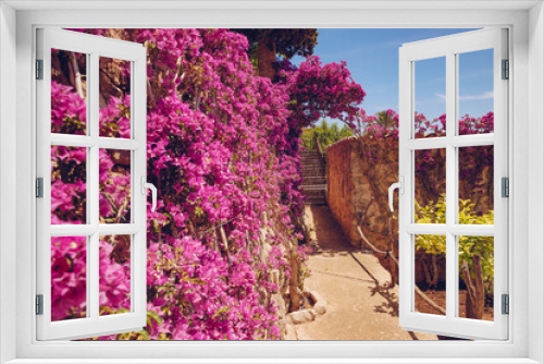 Fototapeta Naklejka Na Ścianę Okno 3D - Beautiful landscape in Italy, Tuscany. Purple flowers in Spain on Mallorca 