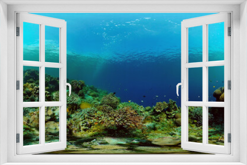 Fototapeta Naklejka Na Ścianę Okno 3D - Marine life sea world. Underwater fish reef marine. Tropical colourful underwater seascape. Philippines. Virtual Reality 360.