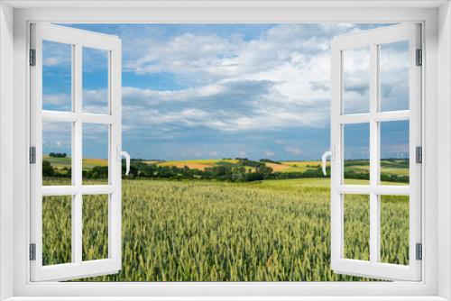 Fototapeta Naklejka Na Ścianę Okno 3D - Kornfelder unter Wolkenhimmel