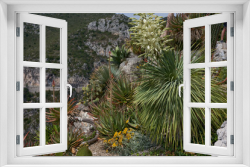 Fototapeta Naklejka Na Ścianę Okno 3D - Eze, France - June 17, 2021 - the Exotic, Subtropical and Mediterranean garden in the sunny spring afternoon 