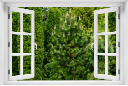 Fototapeta Naklejka Na Ścianę Okno 3D - High resolution photo of landscaping with bushes