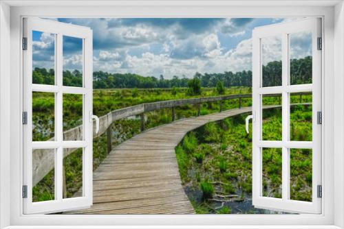 Fototapeta Naklejka Na Ścianę Okno 3D - Steg durch die Moorlandschaft Diersfordter Veen 