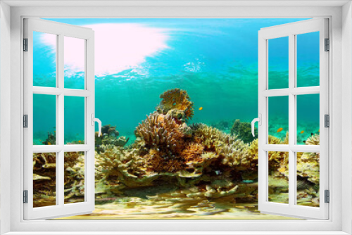 Fototapeta Naklejka Na Ścianę Okno 3D - Coral reef underwater with tropical fish. Hard and soft corals, underwater landscape. Tropical underwater sea fish. Philippines. Virtual Reality 360.