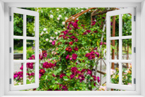 Fototapeta Naklejka Na Ścianę Okno 3D - Rose Garden Arbors 6