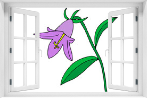 Fototapeta Naklejka Na Ścianę Okno 3D - Lilac and green Vector illustration one bellflower with leaves isolated on a white background