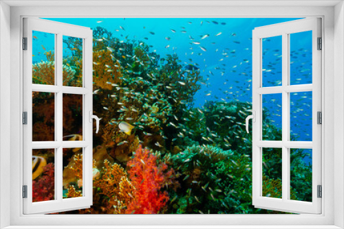 Fototapeta Naklejka Na Ścianę Okno 3D - Coral reef and fishes