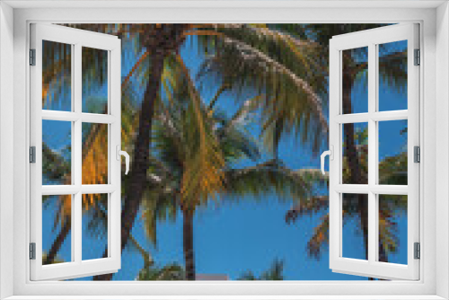 Fototapeta Naklejka Na Ścianę Okno 3D - palm trees on the beach tropical  