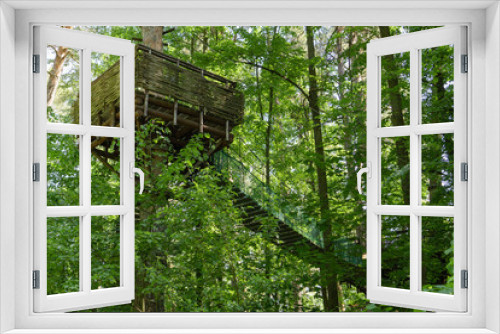 Fototapeta Naklejka Na Ścianę Okno 3D - Rope footbridges located in the forest at a high altitude among the lush foliage of trees. Entertainment for recreation in nature.