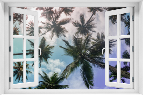 Fototapeta Naklejka Na Ścianę Okno 3D - palm trees and sky