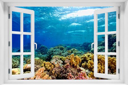Fototapeta Naklejka Na Ścianę Okno 3D - A picture of the coral reef