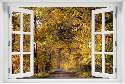 Fototapeta Naklejka Na Ścianę Okno 3D - Feldweg im Herbst