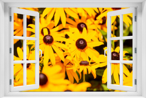 Fototapeta Naklejka Na Ścianę Okno 3D - Multiple Yellow Flowers in a Bunch