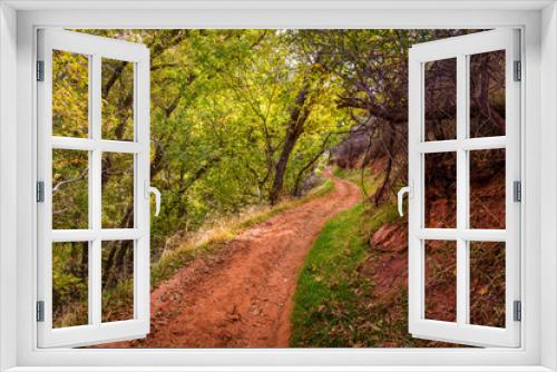 Fototapeta Naklejka Na Ścianę Okno 3D - The narrow trail through the beautiful forest. Zion National Park, Utah, USA