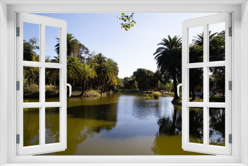 Fototapeta Naklejka Na Ścianę Okno 3D - View of the lake from Parque Rodó (Park Rodo). Montevideo, Uruguay