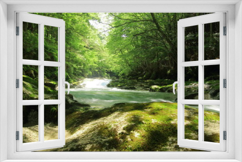Fototapeta Naklejka Na Ścianę Okno 3D - 初夏の川