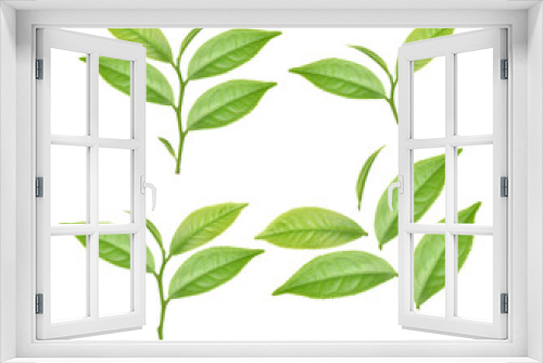 Fototapeta Naklejka Na Ścianę Okno 3D - Top view of green tea leaf isolated on white background
