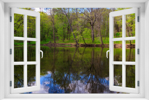 Fototapeta Naklejka Na Ścianę Okno 3D - View of a beautiful lake in a green forest
