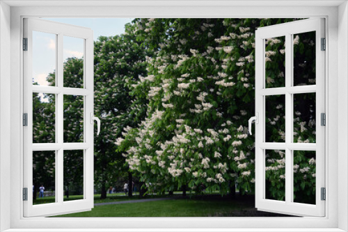Fototapeta Naklejka Na Ścianę Okno 3D - Lilac blossom in spring