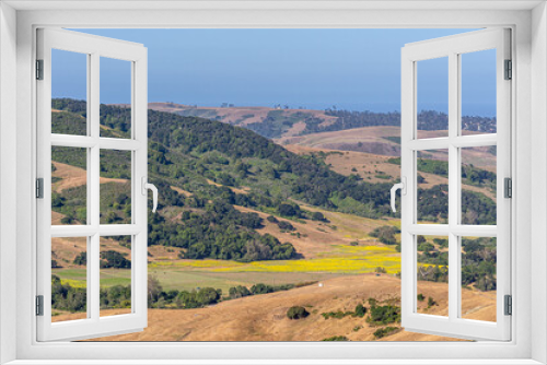 Fototapeta Naklejka Na Ścianę Okno 3D - Cambria, CA, USA - June 8, 2021: Landscape with yellow mustard seed field in center, surrounded by dry ranching hills and forested hill tops under blue sky.