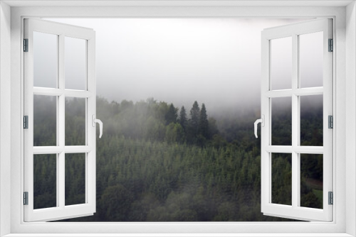 Fototapeta Naklejka Na Ścianę Okno 3D - Krajobraz leśny we mgle