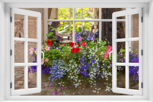 Fototapeta Naklejka Na Ścianę Okno 3D - Colorful Window Box of Summer Blooming Flowers Outside a Cafe in Inverness, Scotland