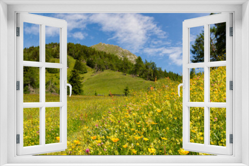 Fototapeta Naklejka Na Ścianę Okno 3D - Almwiese im Nationalpark Hohe Tauern in Matrei, Österreich