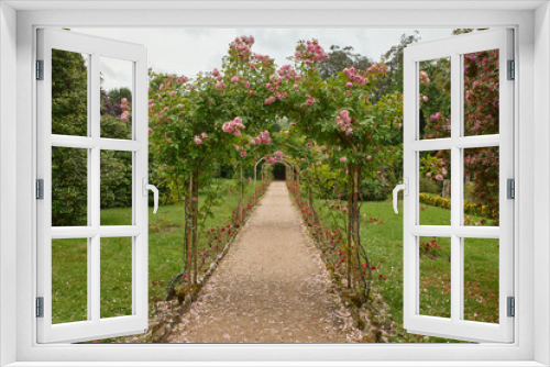 Fototapeta Naklejka Na Ścianę Okno 3D - Path of a garden with tunnel of roses.