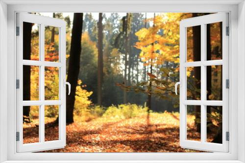 Fototapeta Naklejka Na Ścianę Okno 3D - Herbst Wald
