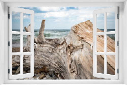 Fototapeta Naklejka Na Ścianę Okno 3D - driftwood on the beach