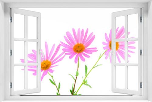 Fototapeta Naklejka Na Ścianę Okno 3D - Three magenta gerbera daisies