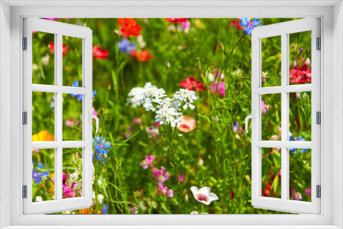 Fototapeta Naklejka Na Ścianę Okno 3D - Wildflower meadow in the Summer sunshine with Cornflowers, Poppies, Cow Parsley, red flax flower and grasses.