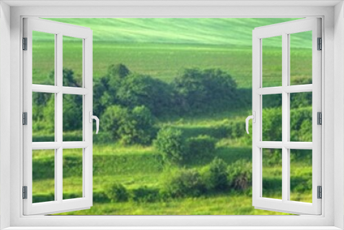 Fototapeta Naklejka Na Ścianę Okno 3D - Beautiful panorama of a green field in summer