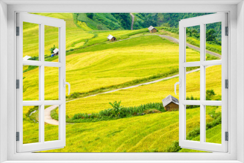 Fototapeta Naklejka Na Ścianę Okno 3D - Rice fields on terraced of Y Ty, Bat Xat, Lao Cai, Viet Nam. Rice fields prepare the harvest at Northwest Vietnam.Vietnam landscapes.