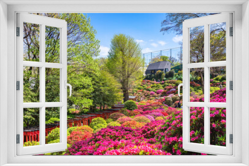 Fototapeta Naklejka Na Ścianę Okno 3D - Overview of the colorful garden dedicated to the topiary art of rhododendron flowers in the Shintoist Nezu shrine during the azalea festival or tsutsuji matsuri.