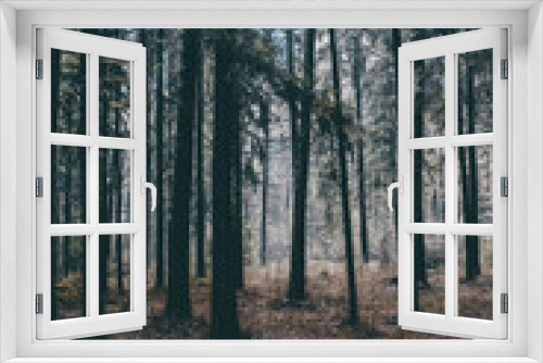 Fototapeta Naklejka Na Ścianę Okno 3D - mysterious cyan forest