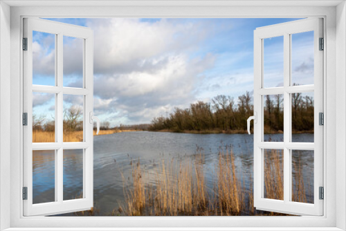 Fototapeta Naklejka Na Ścianę Okno 3D - Natural landscape de Biesbosch near Dordrecht in the Netherlands