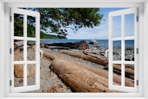 Fototapeta Naklejka Na Ścianę Okno 3D - Driftwood... weathered logs and downed trees - Seal Bay Nature Reserve