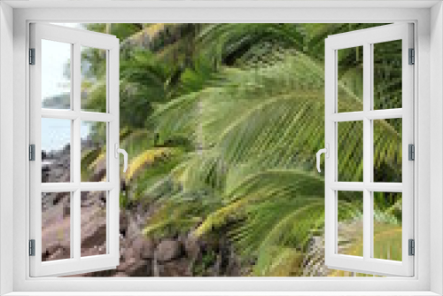 Fototapeta Naklejka Na Ścianę Okno 3D - Guyane - Les Îles du Salut