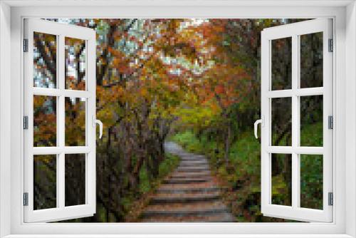 Fototapeta Naklejka Na Ścianę Okno 3D - 大分県の紅葉のくじゅう連山の風景  Mt.Kujyu range scenery of autumn leaves in Oita Prefecture 
