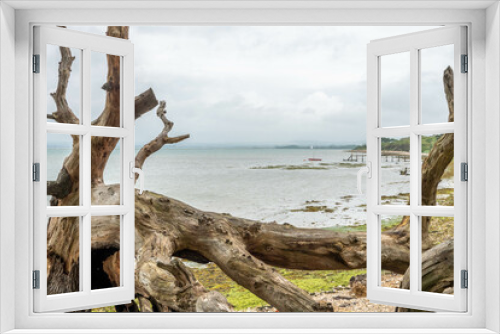 Fototapeta Naklejka Na Ścianę Okno 3D - view of a deserted rustic English beach though the branches of an old tree on a stormy summer day
