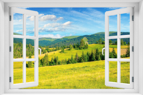 Fototapeta Naklejka Na Ścianę Okno 3D - countryside summer landscape. meadows, pastures and forest on the hills. mountainous scenery on a bright summer day. gorgeous cloudscape above the ridge