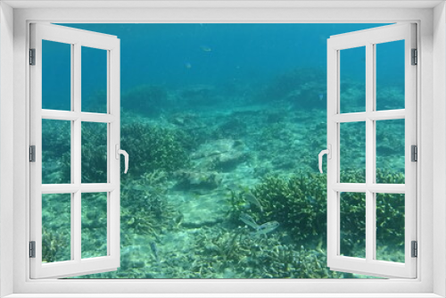Fototapeta Naklejka Na Ścianę Okno 3D - マレーシア　ティオマン島の海
