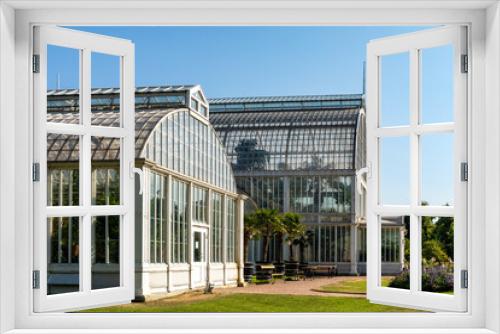 Fototapeta Naklejka Na Ścianę Okno 3D - Tropical greenhouse glasshouse sunny interior full of fresh green plants. Natural Indoor decorative plants. Lush botanical garden. 