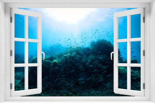 Fototapeta Naklejka Na Ścianę Okno 3D - 珊瑚と魚と太陽