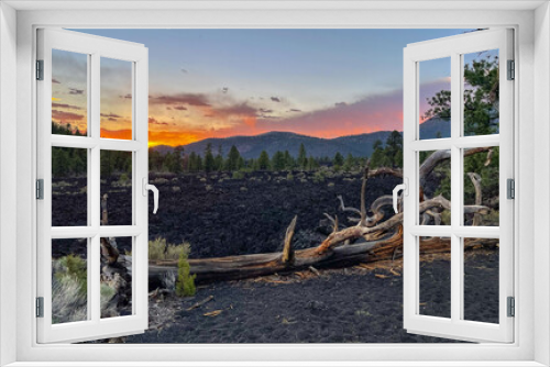 Fototapeta Naklejka Na Ścianę Okno 3D - Sunset behind lava flow with weathered tree in front at Sunset Crater